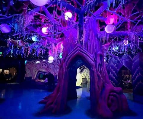 The Mendon Witch Tree: An Inexplicable Phenomenon